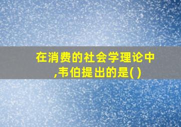 在消费的社会学理论中,韦伯提出的是( )